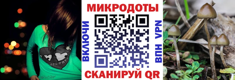 Купить где  Ленинградская  Галлюциногенные грибы прущие грибы 